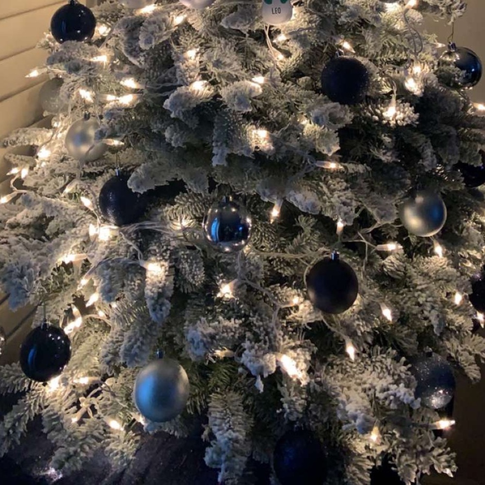 Meet your Posher, Posh